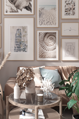 Beige Shell Poster