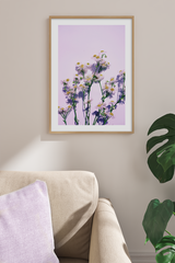 Purple Daisy Poster