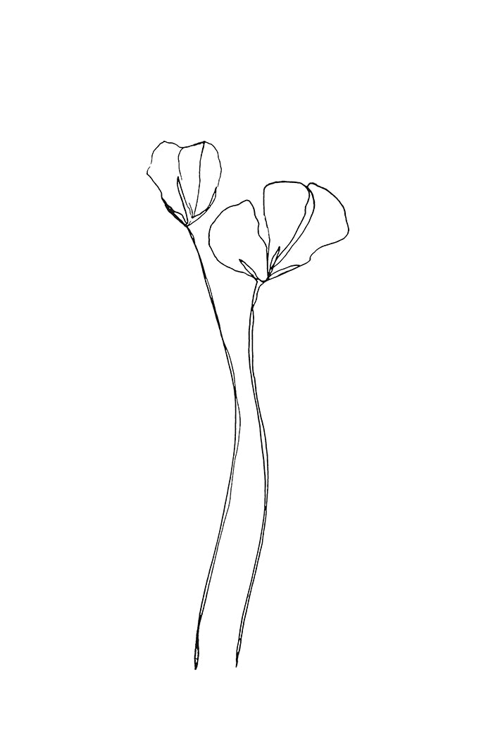 Flower Line Art Poster