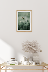 Foraging Butterfly Poster
