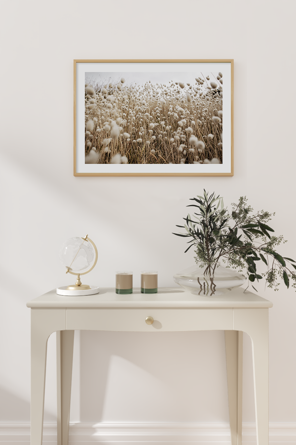 Field of Dry Flowers Poster