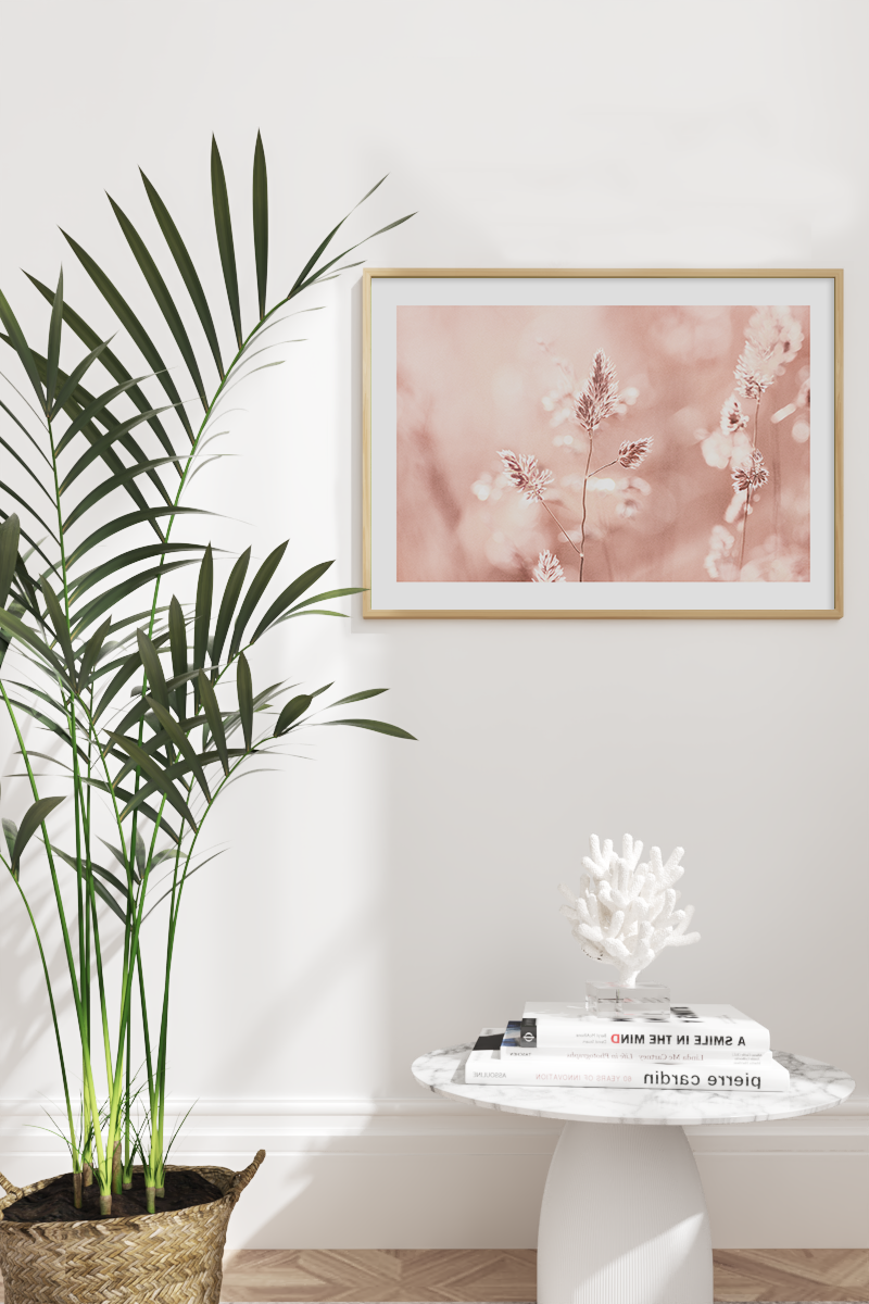 Pink Dry Flower Close Up Poster