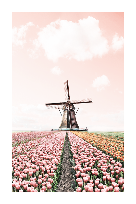 Windmill in a Flower Sea Poster