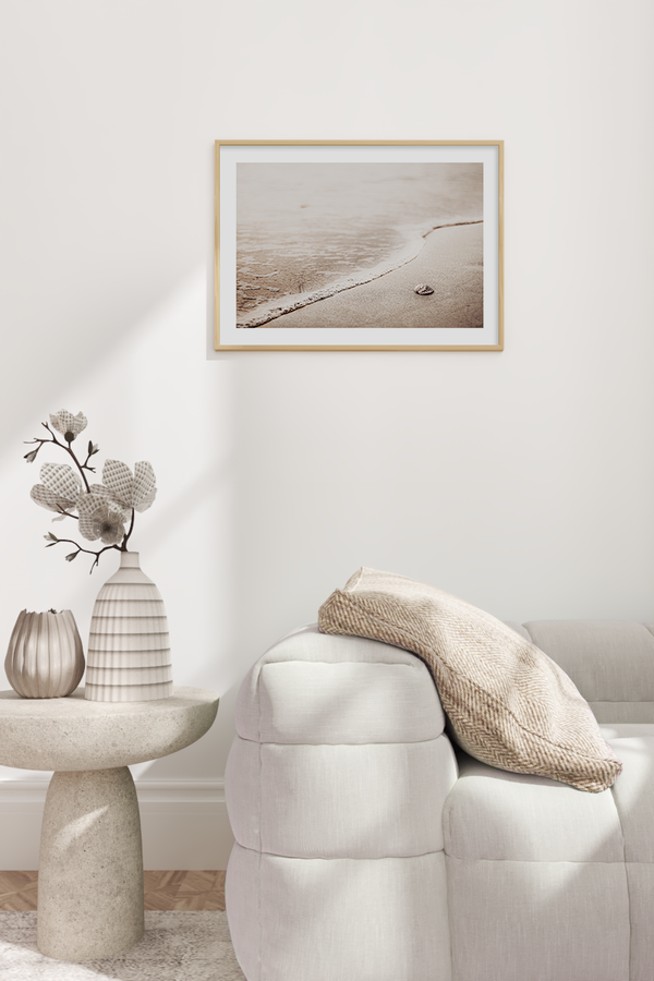 Seashell in the Beach Poster