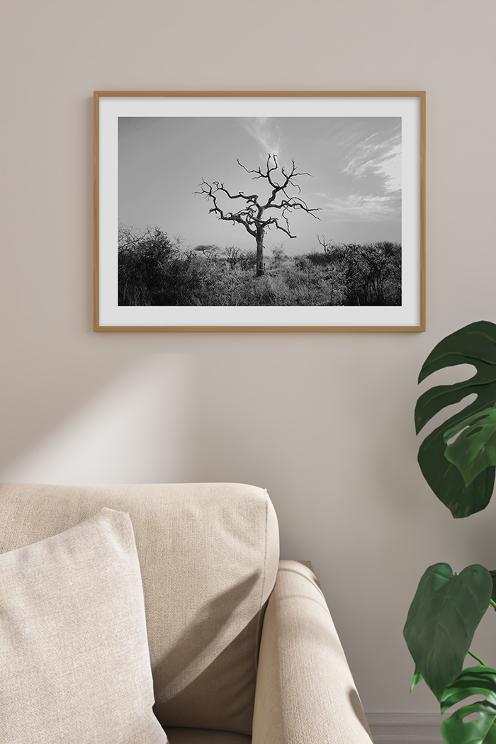 Dry Tree Poster