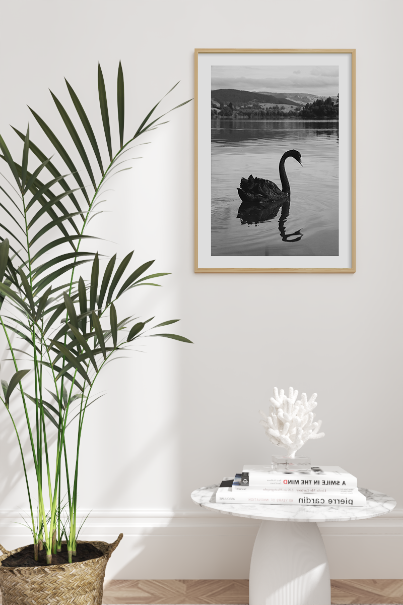 Black Swan Poster