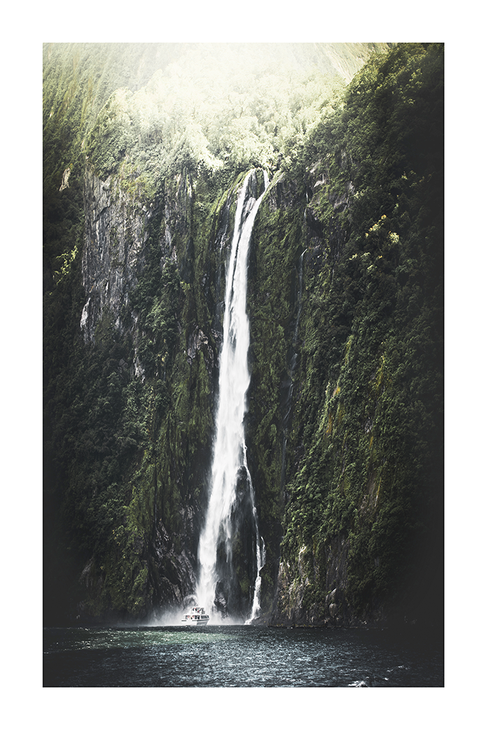 Waterfall in the Forest Poster