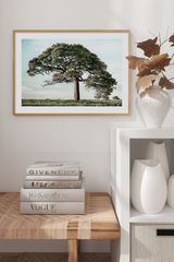 Tree of Life Poster