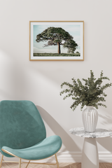 Tree of Life Poster