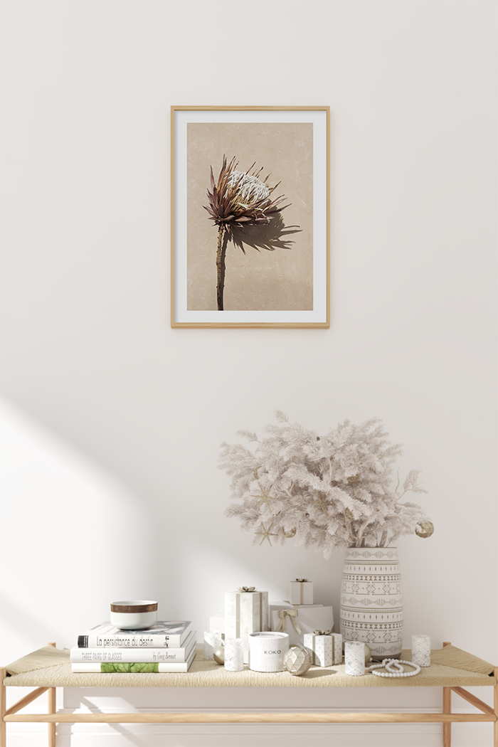 Protea Cynaroides Poster
