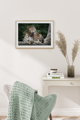 Leopard Poster