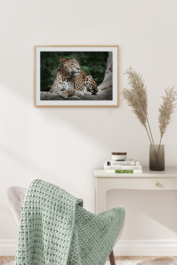 Leopard Poster