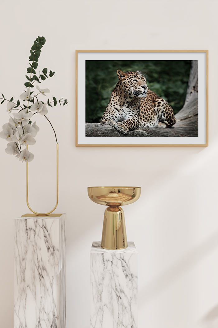 Leopard Poster