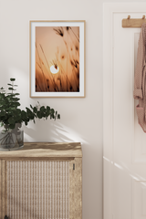 Sunset Evening Poster