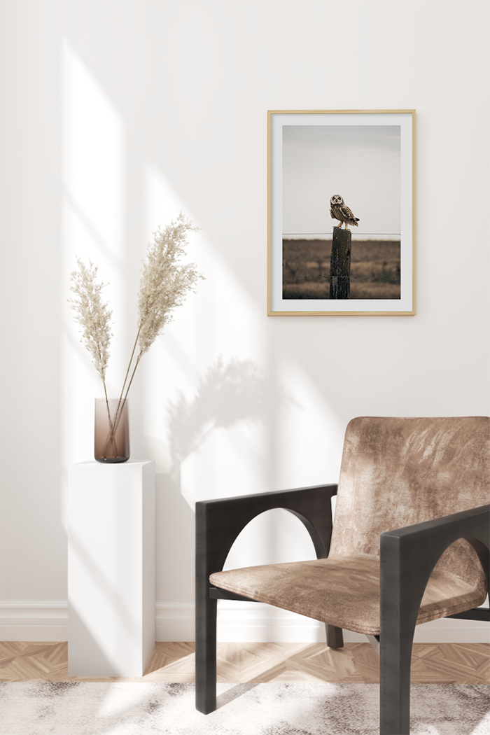 Owl Poster