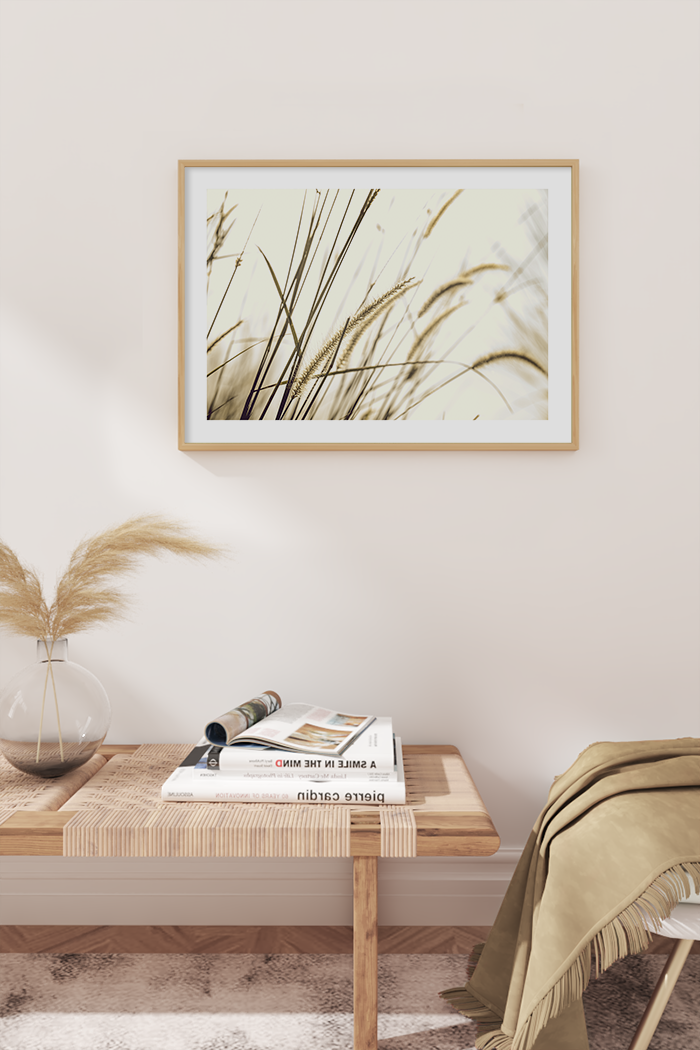 Setaria Viridis Close Up Poster