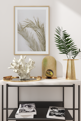 Dry Palm Close Up Poster