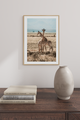 Two Giraffes Poster