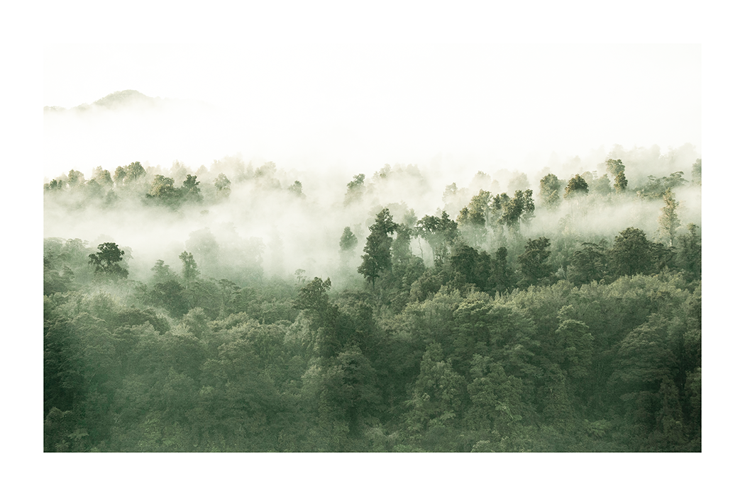 Misty Forest Poster