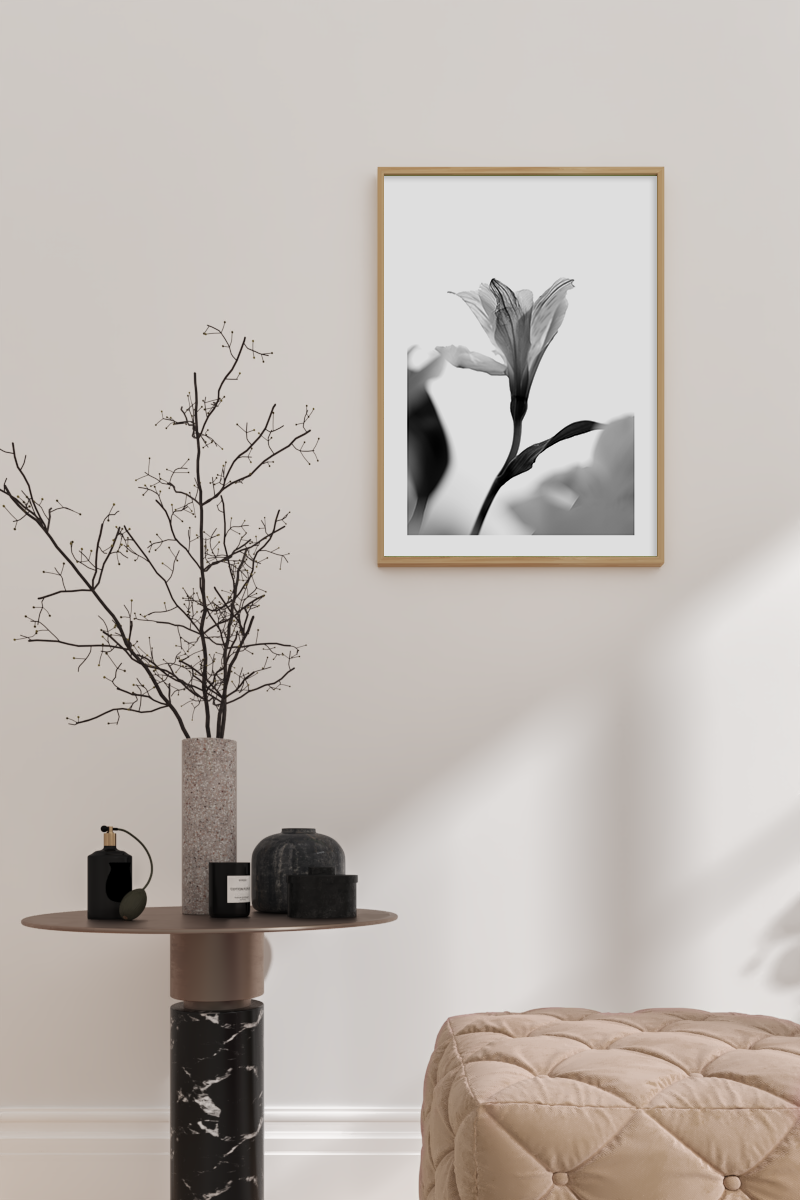 Budding Flower Poster