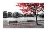 Red Tree Poster
