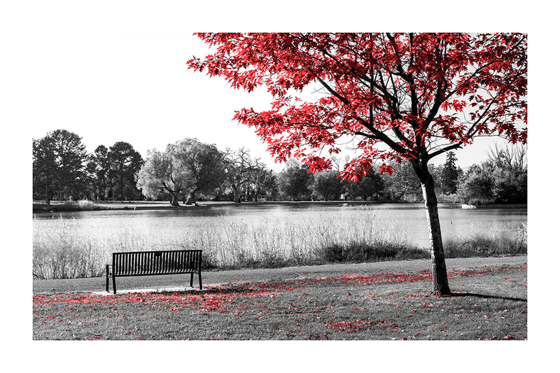 Red Tree Poster