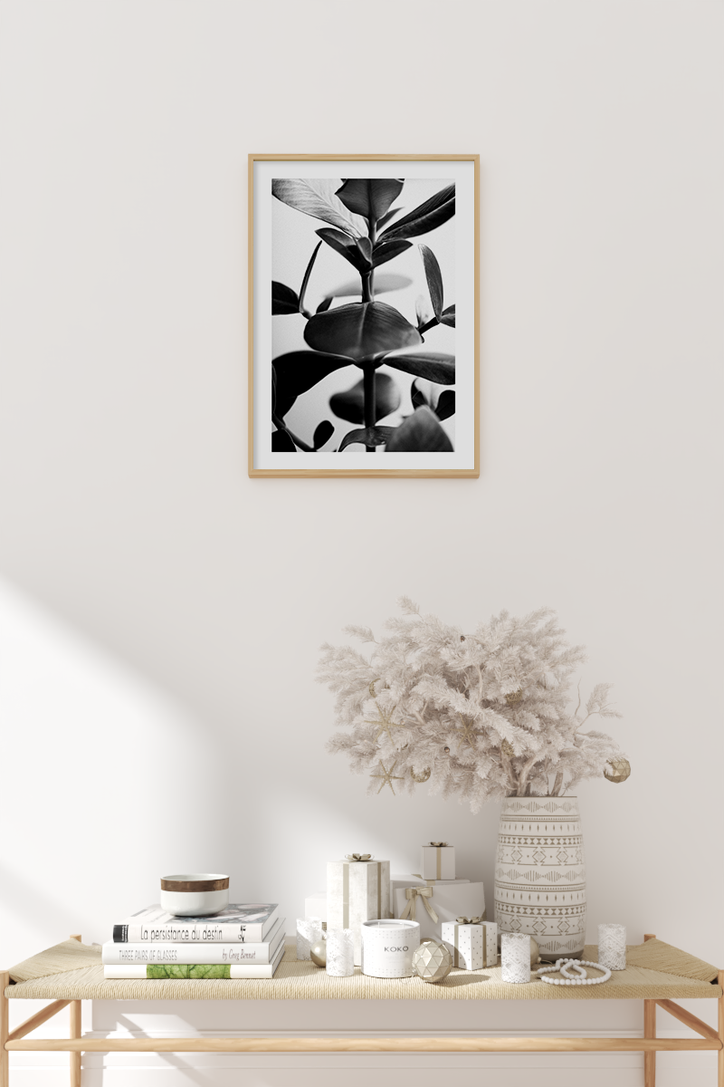 Leaf Close Up Monochrome Poster
