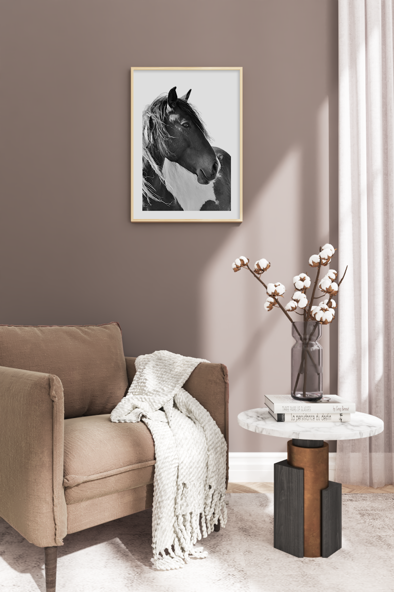 Horse Photo Poster
