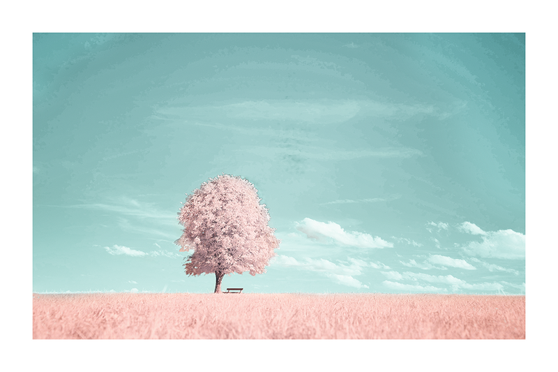 Pink Flower Tree Poster