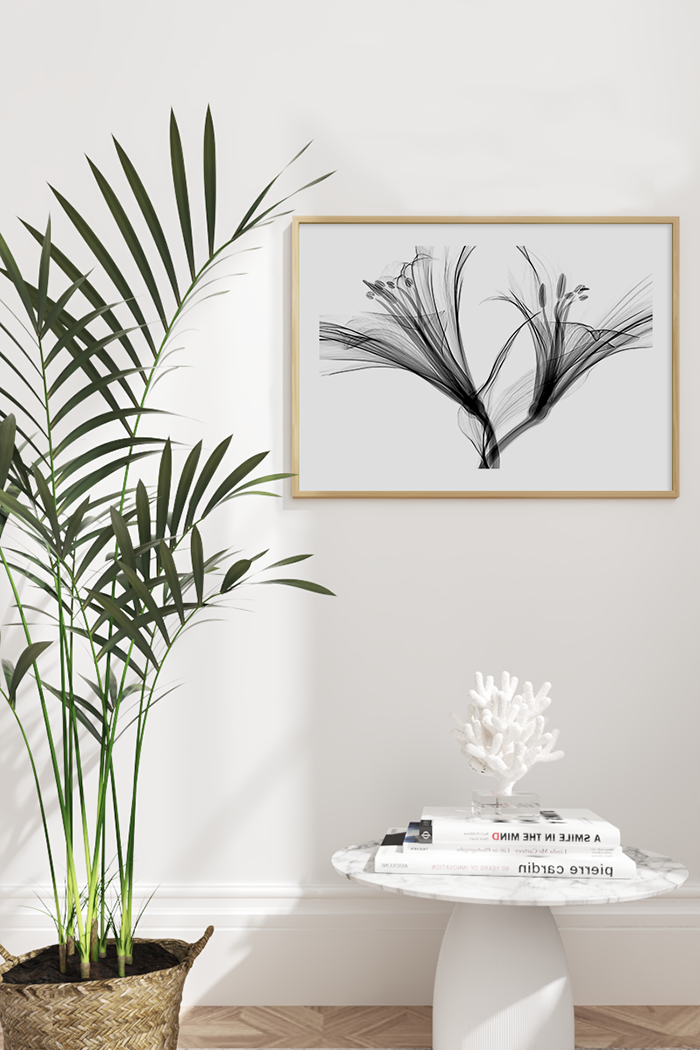 Lily X-ray Poster