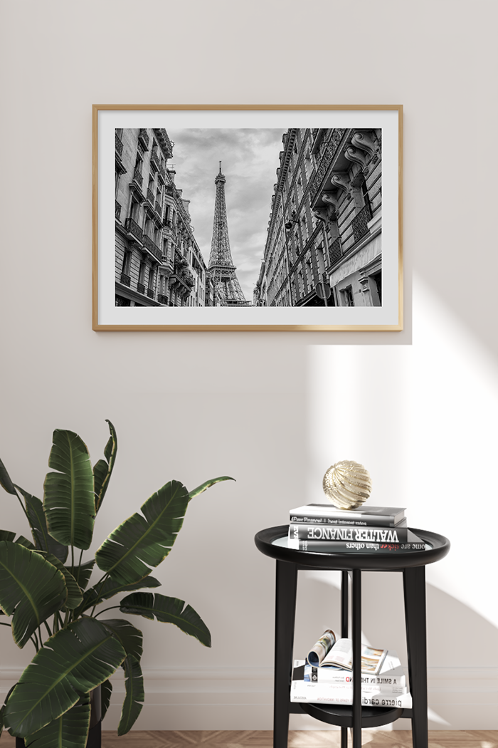 Paris Street Poster