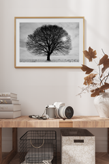 Monochrome Tree Poster