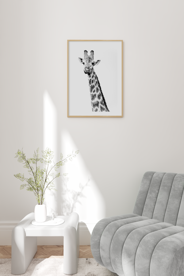 Black Giraffe Poster