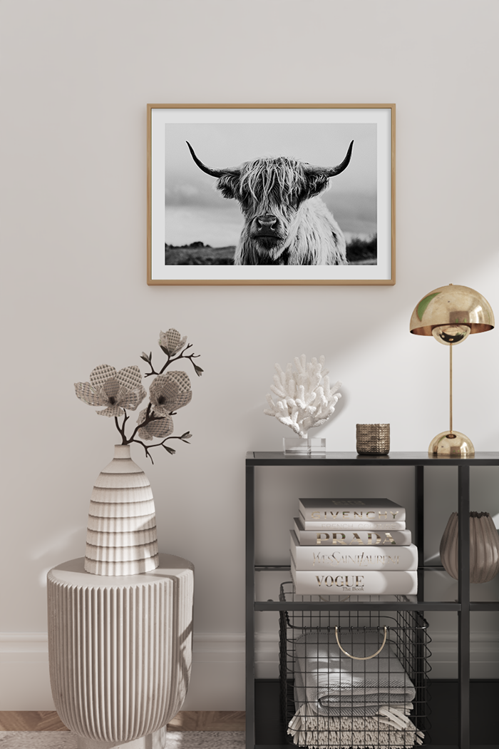 Highland Cow Close Up Poster