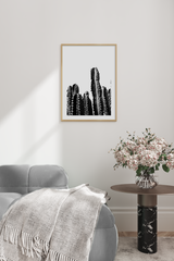 Black and White Cactus Poster