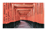 Temple Walkway Poster