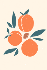 Fruit Illustration Poster