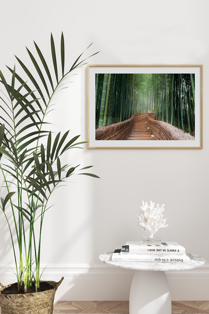 Path to Bamboo Forest Poster