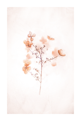 A Dry Flower Detail Poster