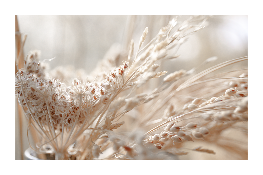 Dried Floral Close Up Poster
