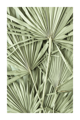 Green Palm Leaves Poster