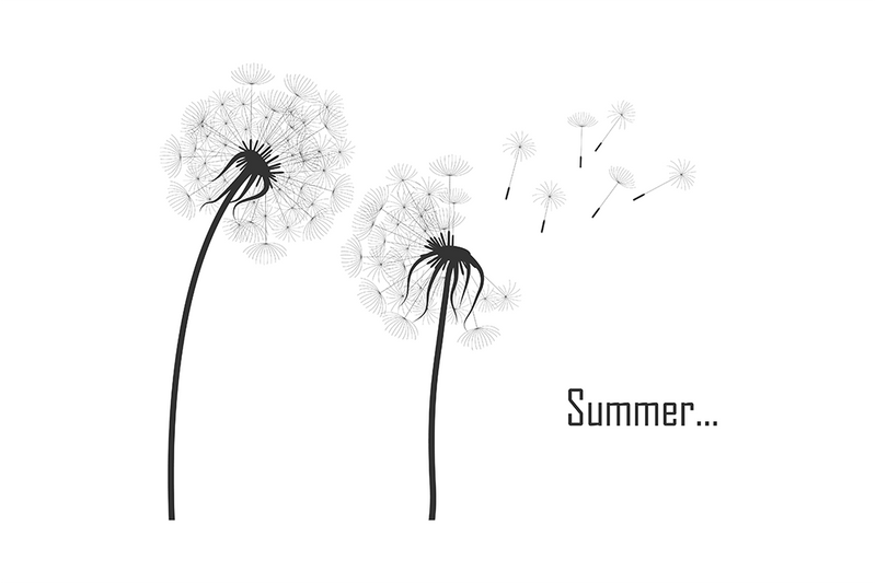 Dandelion Line Poster No.2