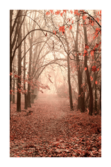 Autumn Misty Forest Poster