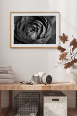 Black Flower Poster