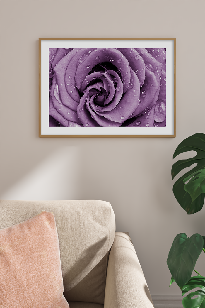 Purple Rose Poster