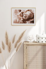 Pink Petals Poster