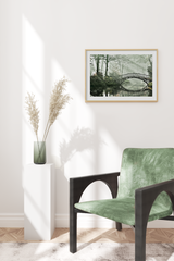 Forest Bridge Poster