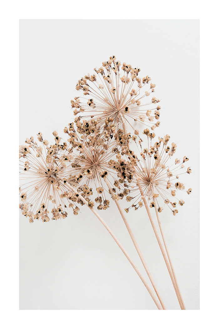 Wild Onion Flower Poster