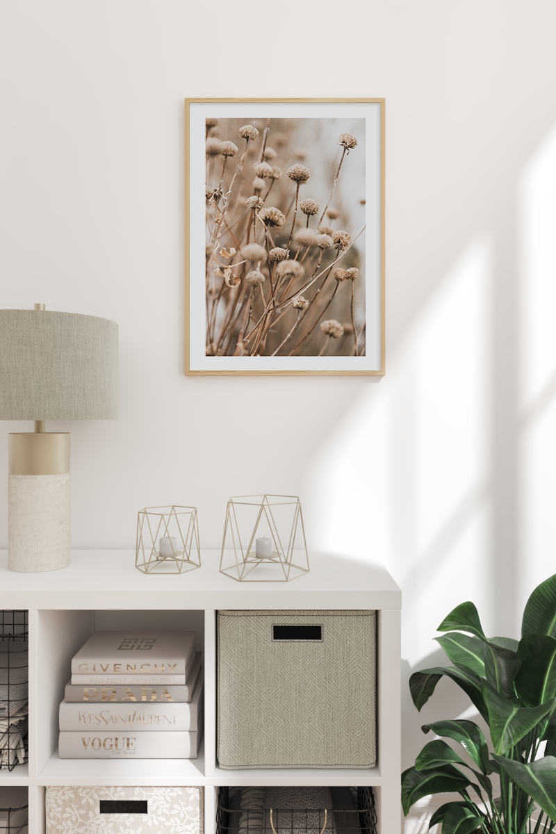 Dry Flower Photo Poster