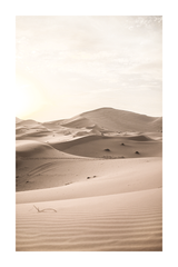 Sunrise Desert Poster